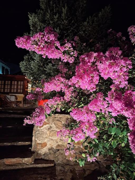 Panthea Cottage ستافروبولي المظهر الخارجي الصورة